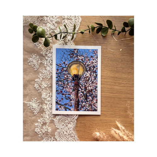 Bloom — mini original gouache, lantern through cherry blossoms
