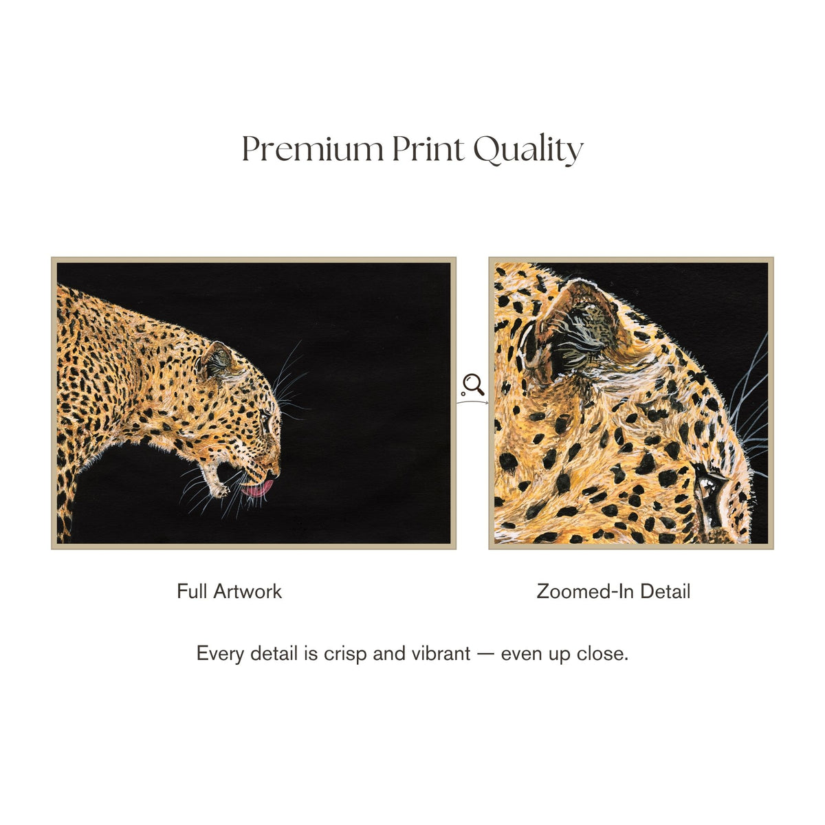 Prowl — close-up detail of leopard and print quality