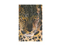 Gaze — full artwork, gouache leopard portrait