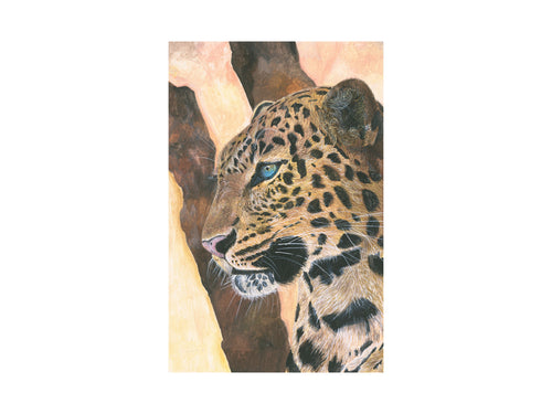 Apex Elegance — full artwork, gouache leopard portrait