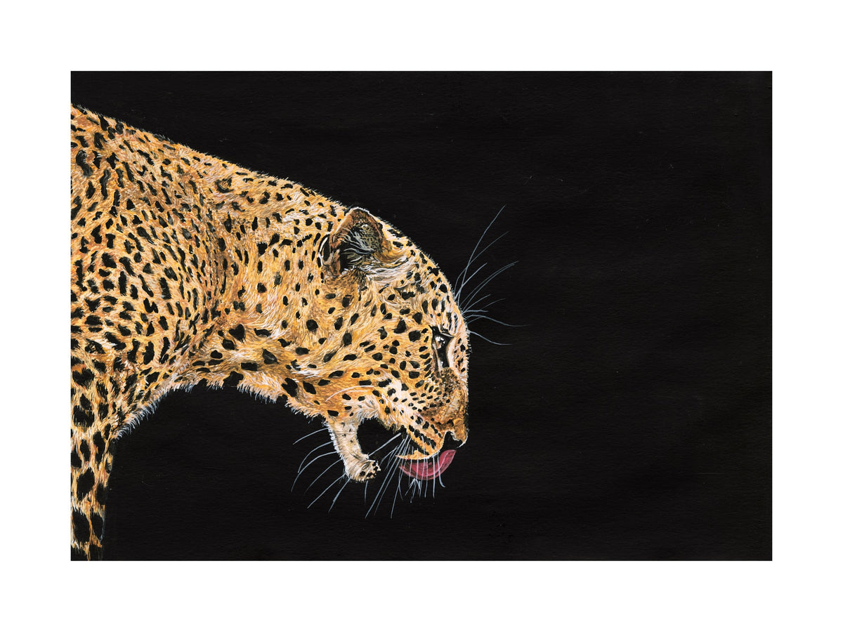 Prowl — full artwork, gouache leopard in profile
