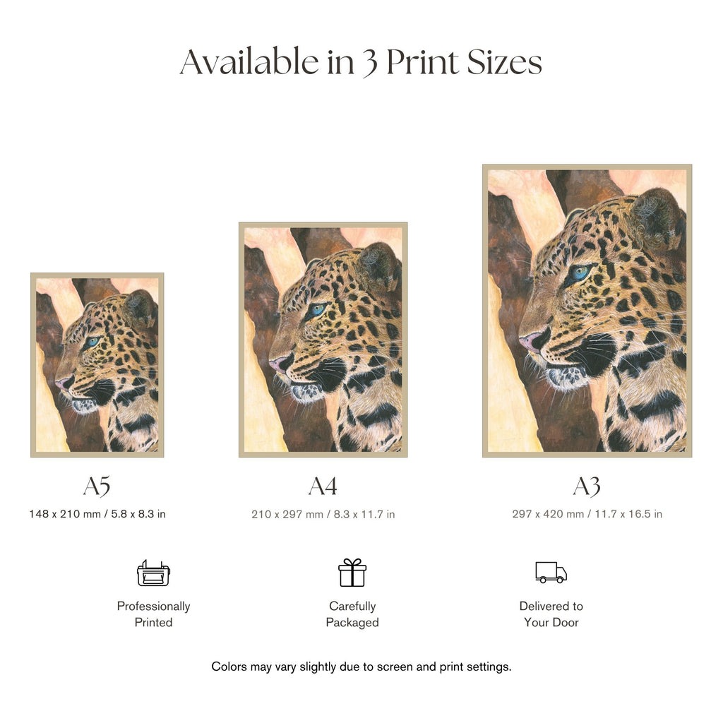 Apex Elegance — premium print quality comparison